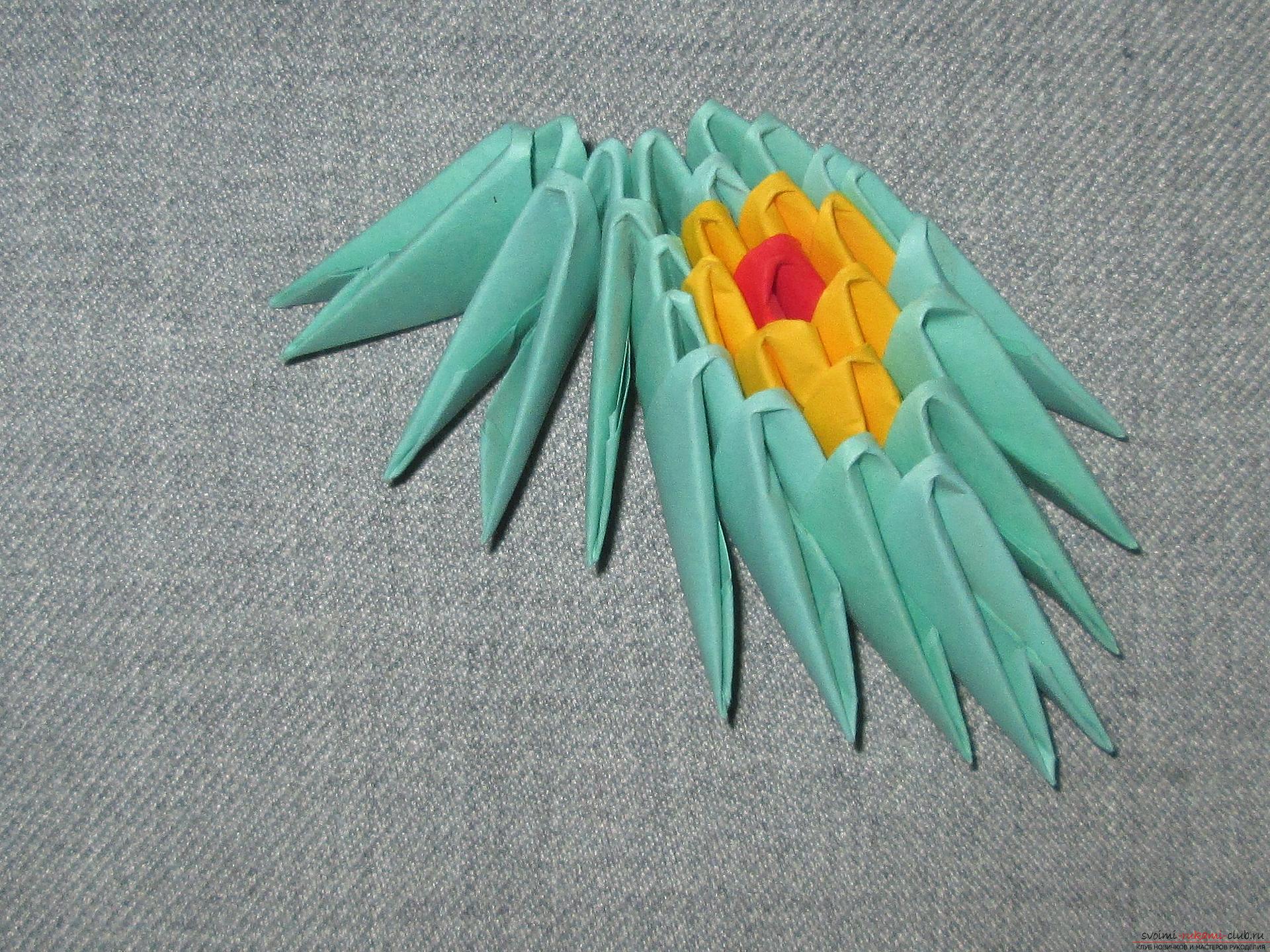 Для тех, кто любит собирать оригами из модулей, мастер-класс модульное оригами бабочки и грибочка.. Фото №17